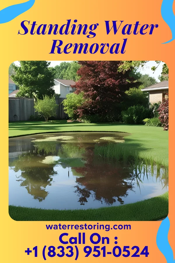 Standing Water Removal in Bantam, CT